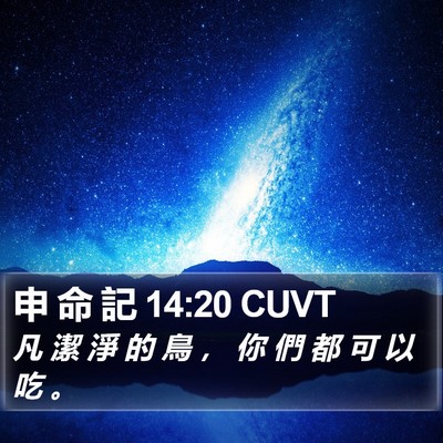 申 命 記 14:20 CUVT Bible Verse Image