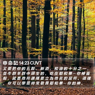 申 命 記 14:23 CUVT Bible Verse Image