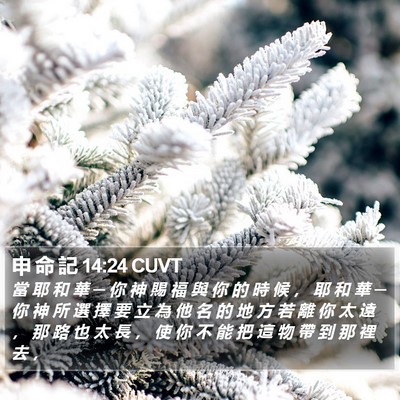 申 命 記 14:24 CUVT Bible Verse Image
