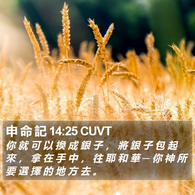 申 命 記 14:25 CUVT Bible Verse Image