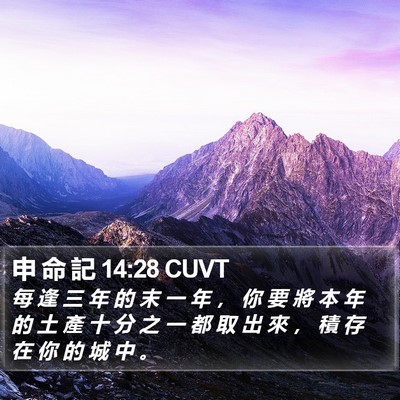 申 命 記 14:28 CUVT Bible Verse Image