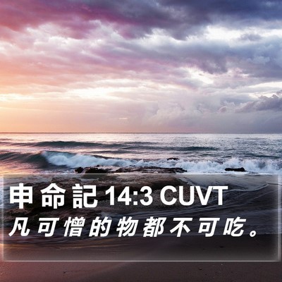 申 命 記 14:3 CUVT Bible Verse Image