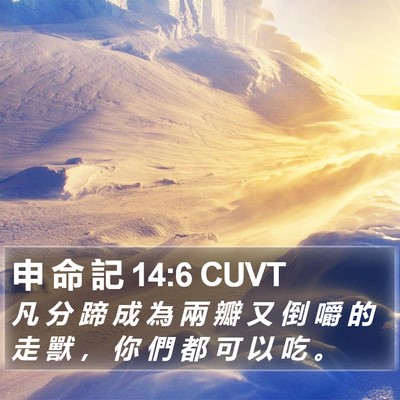 申 命 記 14:6 CUVT Bible Verse Image