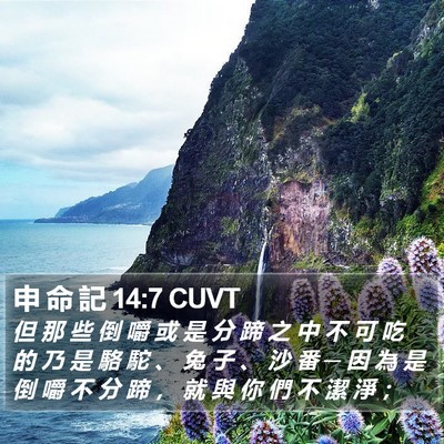 申 命 記 14:7 CUVT Bible Verse Image