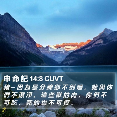 申 命 記 14:8 CUVT Bible Verse Image