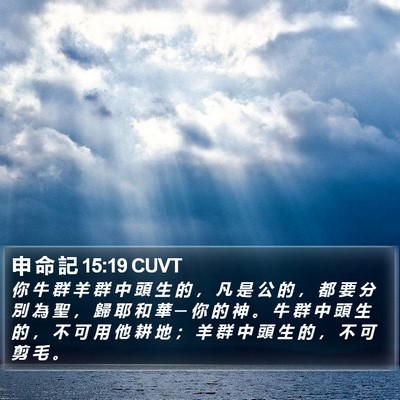 申 命 記 15:19 CUVT Bible Verse Image