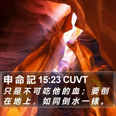 申 命 記 15:23 CUVT Bible Verse Image