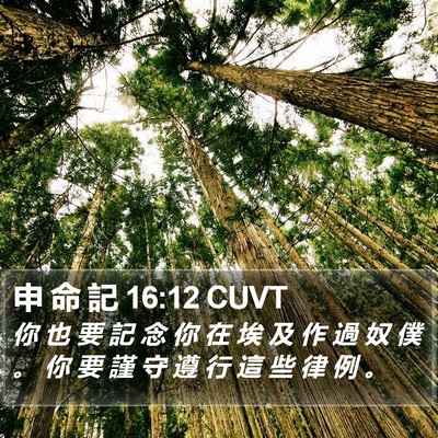 申 命 記 16:12 CUVT Bible Verse Image