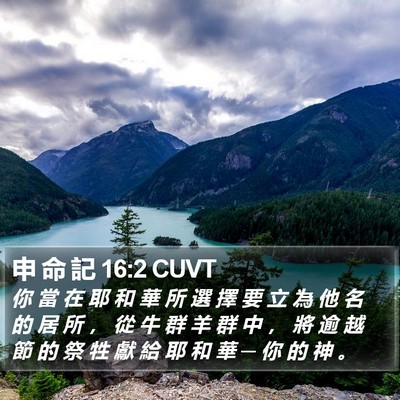 申 命 記 16:2 CUVT Bible Verse Image