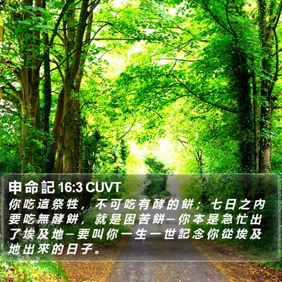 申 命 記 16:3 CUVT Bible Verse Image