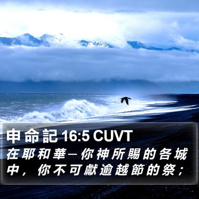 申 命 記 16:5 CUVT Bible Verse Image