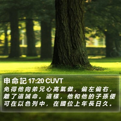 申 命 記 17:20 CUVT Bible Verse Image