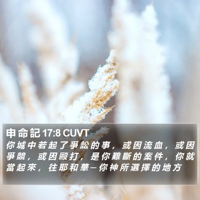 申 命 記 17:8 CUVT Bible Verse Image