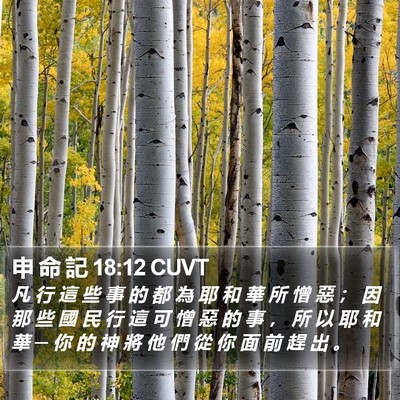 申 命 記 18:12 CUVT Bible Verse Image