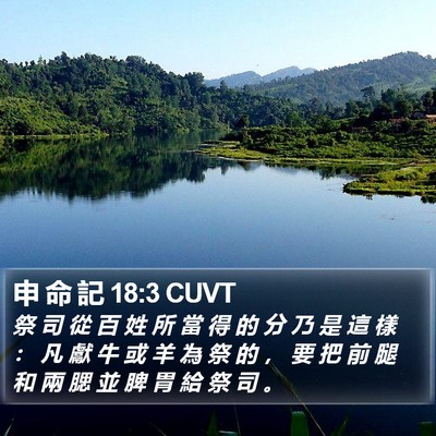申 命 記 18:3 CUVT Bible Verse Image