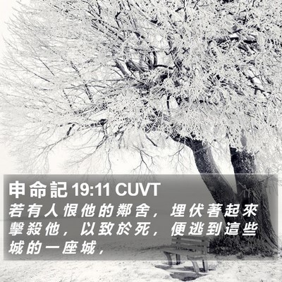 申 命 記 19:11 CUVT Bible Verse Image
