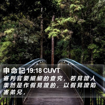 申 命 記 19:18 CUVT Bible Verse Image