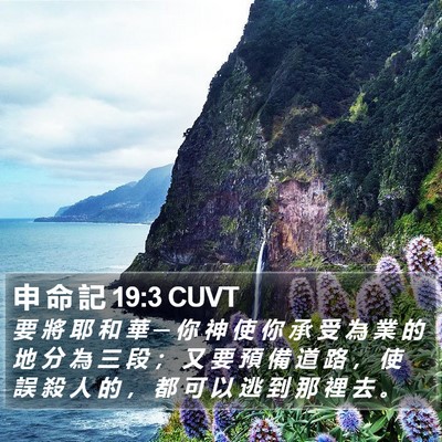 申 命 記 19:3 CUVT Bible Verse Image