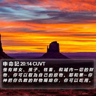 申 命 記 20:14 CUVT Bible Verse Image