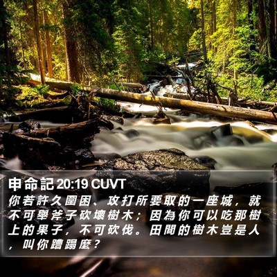 申 命 記 20:19 CUVT Bible Verse Image