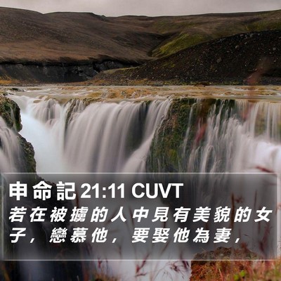 申 命 記 21:11 CUVT Bible Verse Image