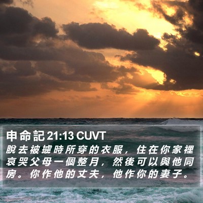 申 命 記 21:13 CUVT Bible Verse Image