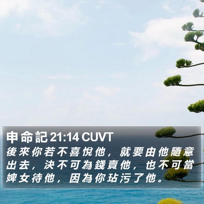 申 命 記 21:14 CUVT Bible Verse Image
