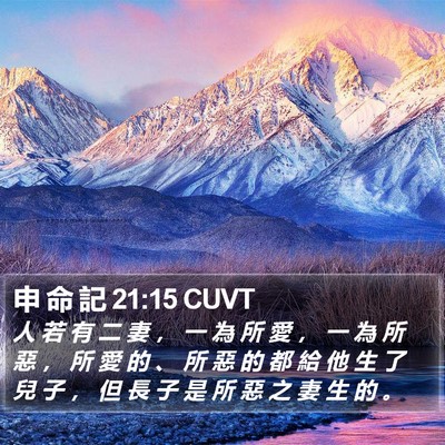 申 命 記 21:15 CUVT Bible Verse Image