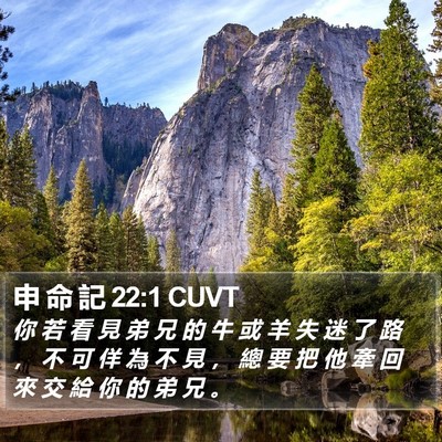 申 命 記 22:1 CUVT Bible Verse Image