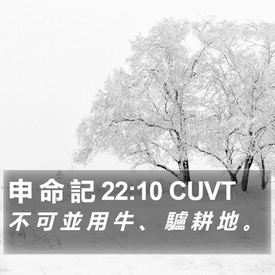 申 命 記 22:10 CUVT Bible Verse Image