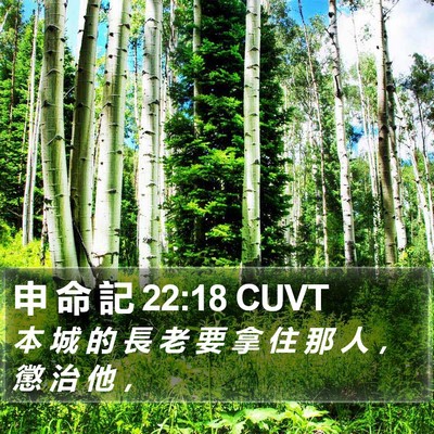 申 命 記 22:18 CUVT Bible Verse Image