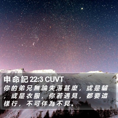申 命 記 22:3 CUVT Bible Verse Image