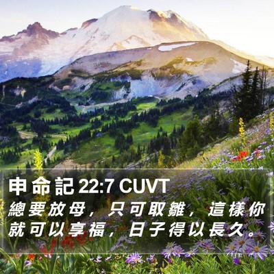 申 命 記 22:7 CUVT Bible Verse Image
