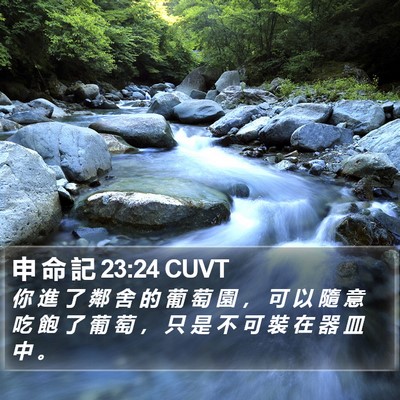 申 命 記 23:24 CUVT Bible Verse Image