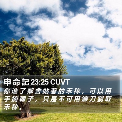 申 命 記 23:25 CUVT Bible Verse Image