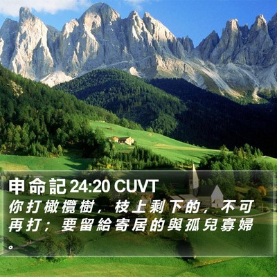 申 命 記 24:20 CUVT Bible Verse Image
