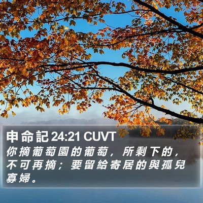 申 命 記 24:21 CUVT Bible Verse Image