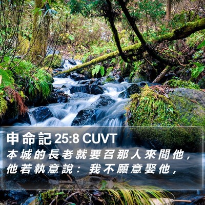 申 命 記 25:8 CUVT Bible Verse Image