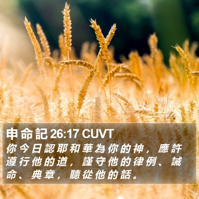 申 命 記 26:17 CUVT Bible Verse Image
