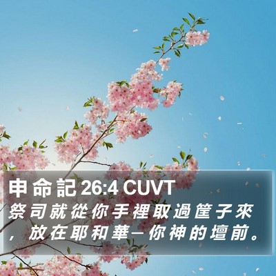 申 命 記 26:4 CUVT Bible Verse Image