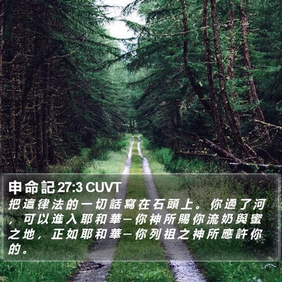 申 命 記 27:3 CUVT Bible Verse Image