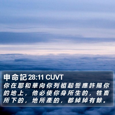 申 命 記 28:11 CUVT Bible Verse Image