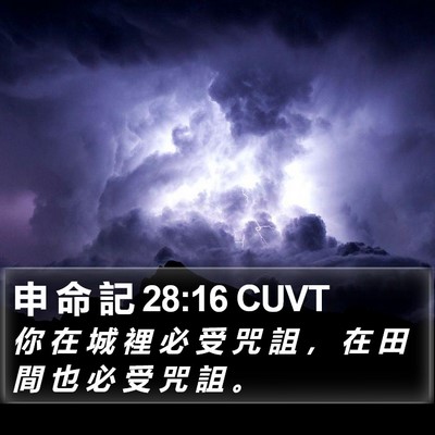 申 命 記 28:16 CUVT Bible Verse Image