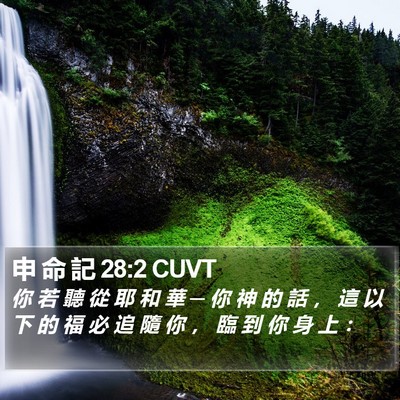 申 命 記 28:2 CUVT Bible Verse Image