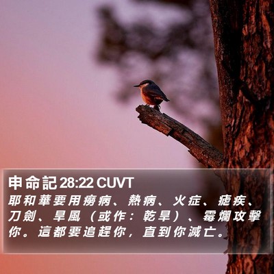 申 命 記 28:22 CUVT Bible Verse Image