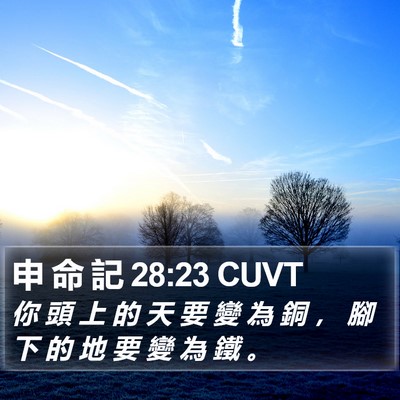 申 命 記 28:23 CUVT Bible Verse Image