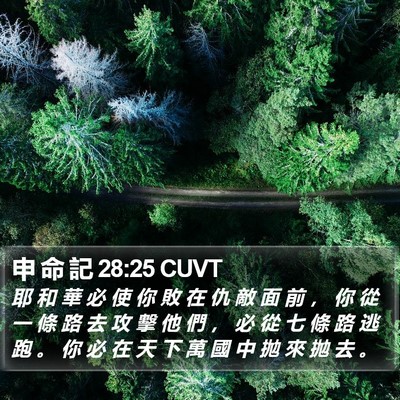 申 命 記 28:25 CUVT Bible Verse Image