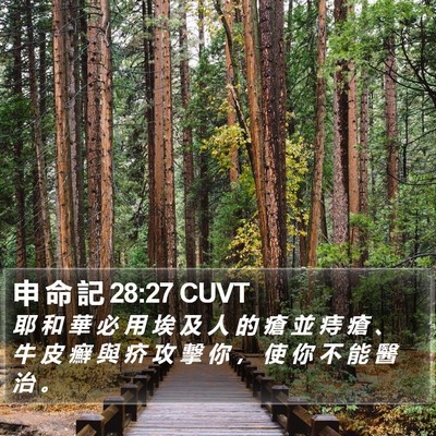 申 命 記 28:27 CUVT Bible Verse Image