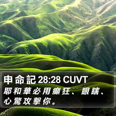 申 命 記 28:28 CUVT Bible Verse Image