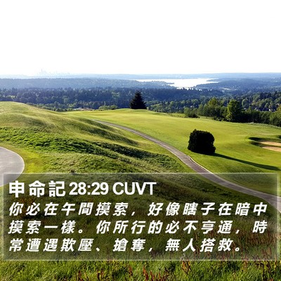 申 命 記 28:29 CUVT Bible Verse Image